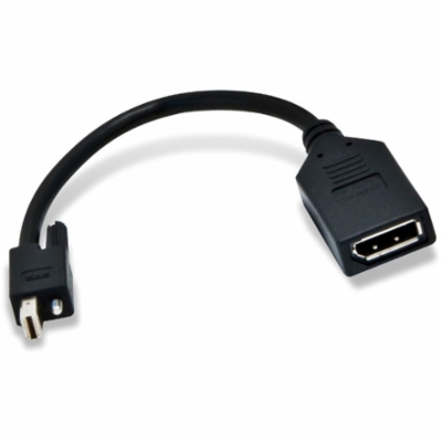 PNY_Mini_Display_Port_Cable.jpg&width=400&height=500
